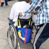сыр в инвалидной коляске