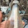 бутылка с посланием от девочки 
