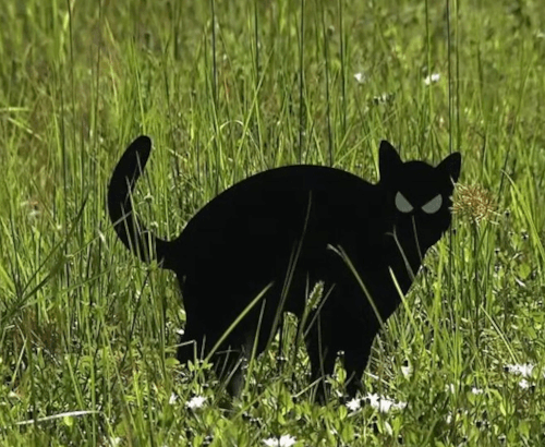 фигурки кошек на пустырях