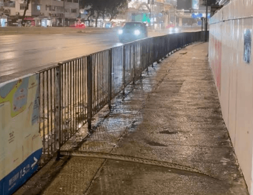 питон искал укрытие в городе