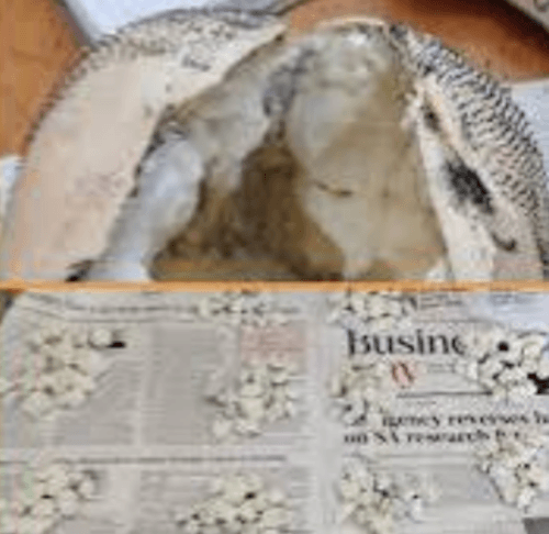 наркотики в кукольной голове