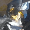 пакетик наркотиков в сэндвиче