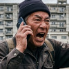шестьсот жалоб в администрацию 