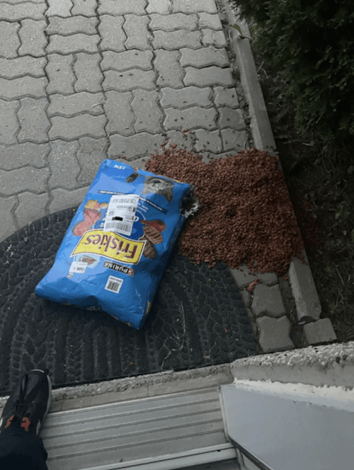 посылка с кошачьим кормом