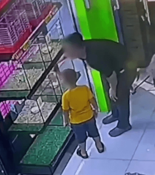 кража хомяка из зоомагазина 
