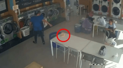игрушка среди монашеских одеяний
