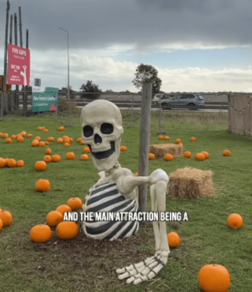 унылая тыквенная ферма