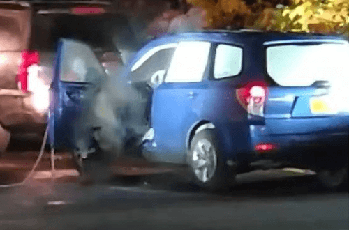 медведь разгромил автомобиль 