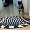 оптическая иллюзия на коврике